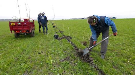 Video: De Warmonderhof in Dronten start met agroforestry: 'Dit voelt radicaal'