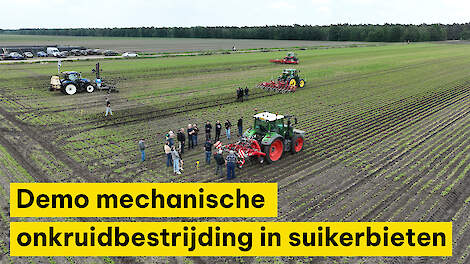 Stappen maken met mechanische onkruidbestrijding in suikerbieten