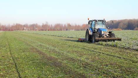 RVO gaat 1.345 afgewezen aanvragen eco-regeling opnieuw tegen het licht houden