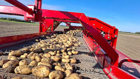 HZPC: Pootgoedteelt verdwijnt door handhavingsbeleid gewasbeschermingsmiddelen Friesland