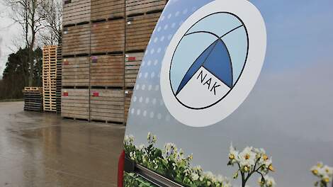 Sluiting aangifte pootaardappelen uitgesteld na storing door brand in datacenter