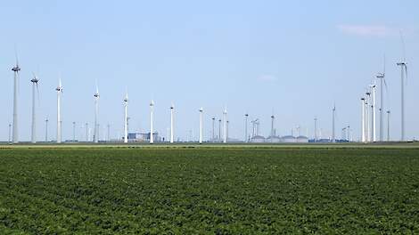 Raad van State staat ‘ruimtelijk bevriezen' van Groningse polder toe