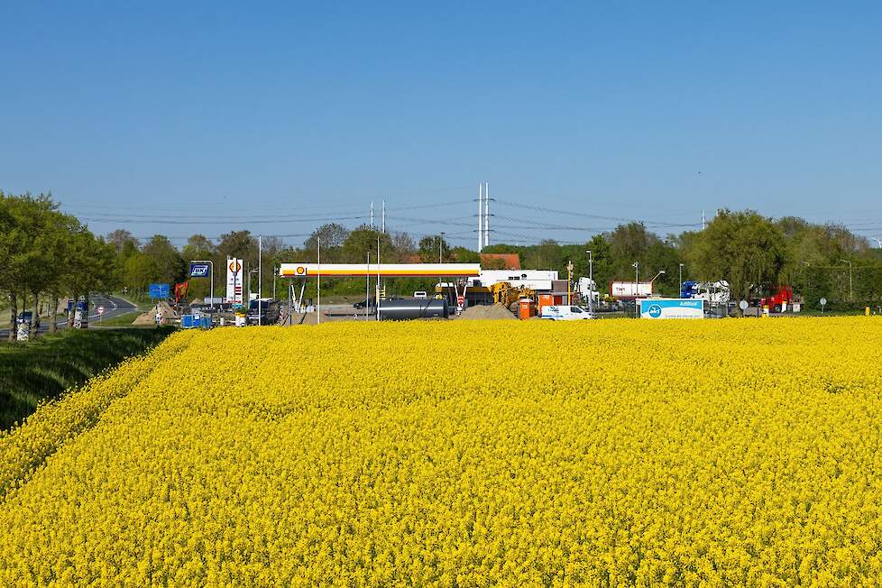 Winterkoolzaad naast tankstation in Rilland