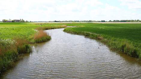 Minister verdedigt gedoogplicht bredere maaipaden langs watergangen Noorderzijlvest