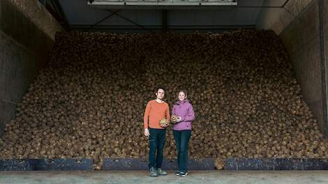 Reddingsactie No Waste Army voor 400.000 kilo knolselderij van JS Agro
