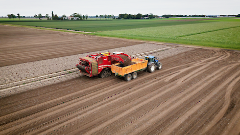 Het rooien van aardappelen