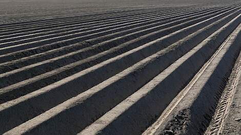 Boeren hoeven duizenden euro's aan subsidie niet terug te betalen na verhuur grond aan aardappelteler
