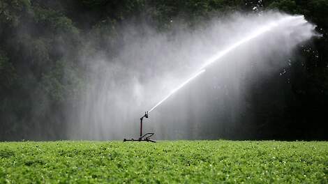 Brabant brengt toegestane hoeveelheid grondwatergebruik voor beregening fors terug