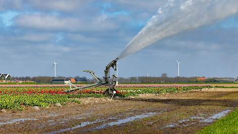 HHNK: ‘Ga zuinig om met water in de Noordkop en stem beregenen op elkaar af’