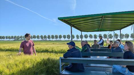 Zomergerst als winterteelt levert in qua brouwkwaliteit: 'Specifiek veredelen voor najaarszaaien dan zit er wel muziek in'