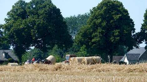 Eerste stro land 60-70 euro per ton | Akkerwijzer.nl - en kennis voor akkerbouwers