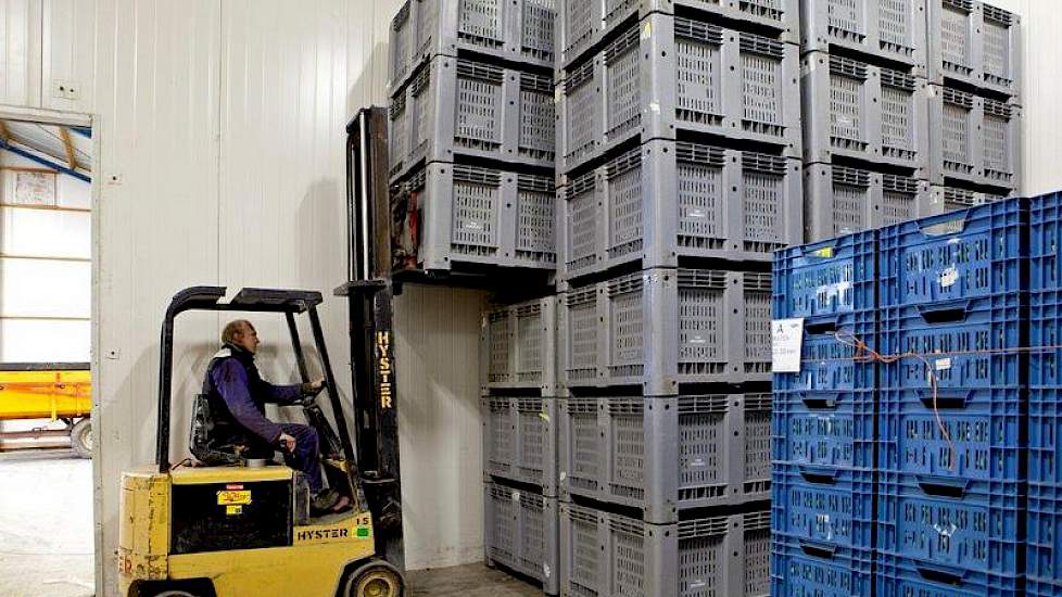 De spruiten worden in kisten van 15 en 250 kilogram afgeleverd.