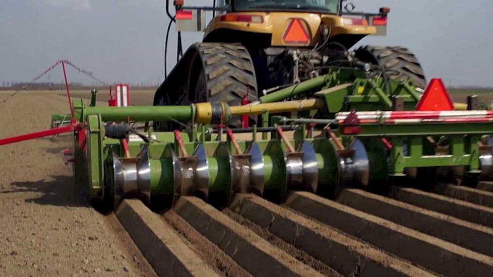 Cintégro - witlofruggen frezen met Challenger MT765