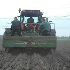 Het poten loopt lekker door. De grond is mooi droog. Dankzij de wind begint het al weer licht te stuiven.
