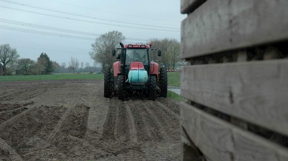 Om vermenging van rassen te voorkomen, wordt voor en na het poten een rijtje gepoot op de kopakker. Zo weten de akkerbouwers zeker dat de pootmachine leeg is voor er een nieuw ras in komt.