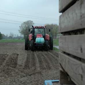 Om vermenging van rassen te voorkomen, wordt voor en na het poten een rijtje gepoot op de kopakker. Zo weten de akkerbouwers zeker dat de pootmachine leeg is voor er een nieuw ras in komt.