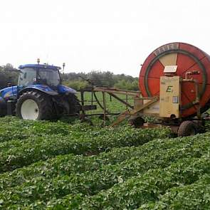 In Brabant gaan de beregeningshaspels aan. Akkerbouwer Twan van der Heijden uit Soerendonk gaat zijn aardappelen beregenen. 'Ik ben benieuwd of hij na woensdag naar binnen kan', zegt hij op twitter.
