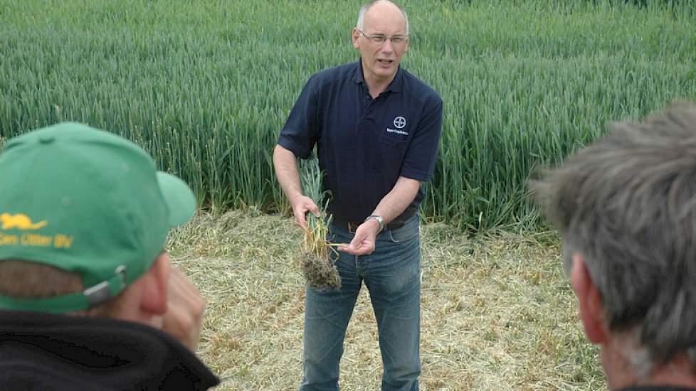 Fusarium is een groeiend probleem in de tarwe, zegt Harm Groeneweg van Bayer CropScience. ‘De kritieke periode breekt nu aan. Als het gewas in de aar komt, zoals hier in het zuidwesten, is het de vraag: wel of niet een T3-bespuiting.’ Bayer CropScience he