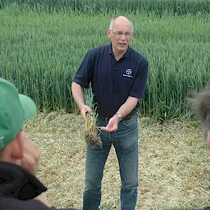 Fusarium is een groeiend probleem in de tarwe, zegt Harm Groeneweg van Bayer CropScience. ‘De kritieke periode breekt nu aan. Als het gewas in de aar komt, zoals hier in het zuidwesten, is het de vraag: wel of niet een T3-bespuiting.’ Bayer CropScience he