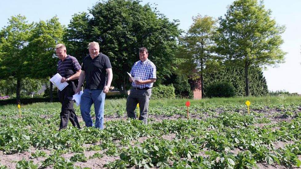Akkerbouwers Arnoud Boerma en Edwin Sturre en vertegenwoordiger Frits Weites van WPA Robertus (v.l.n.r.) kijken, met het pootschema in de hand, kritisch naar de opkomst van de aardappelen. Akkerbouwer Erik Wierenga ontbreekt.