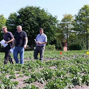 Akkerbouwers Arnoud Boerma en Edwin Sturre en vertegenwoordiger Frits Weites van WPA Robertus (v.l.n.r.) kijken, met het pootschema in de hand, kritisch naar de opkomst van de aardappelen. Akkerbouwer Erik Wierenga ontbreekt.