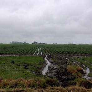 Henk de Vlieger, vertegenwoordiger bij Mol Agrocom constateert veel natheid in het zuidwesten. ‘Het totaal aantal millimeters vanaf vrijdag is 92. Het is nog steeds zeer nat tussen de aardappelbedden.’
