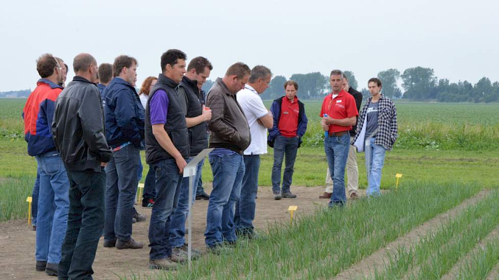 Onkruidbestrijding in zaaiuien. Een hoge dosering bodemherbiciden hoeft geen schade te geven, is de ervaring van Mol Agrocom. De verschillende contactmiddelen gaven geen grote verschillen in de stand van de uien.