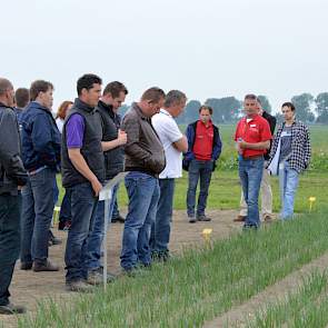 Onkruidbestrijding in zaaiuien. Een hoge dosering bodemherbiciden hoeft geen schade te geven, is de ervaring van Mol Agrocom. De verschillende contactmiddelen gaven geen grote verschillen in de stand van de uien.