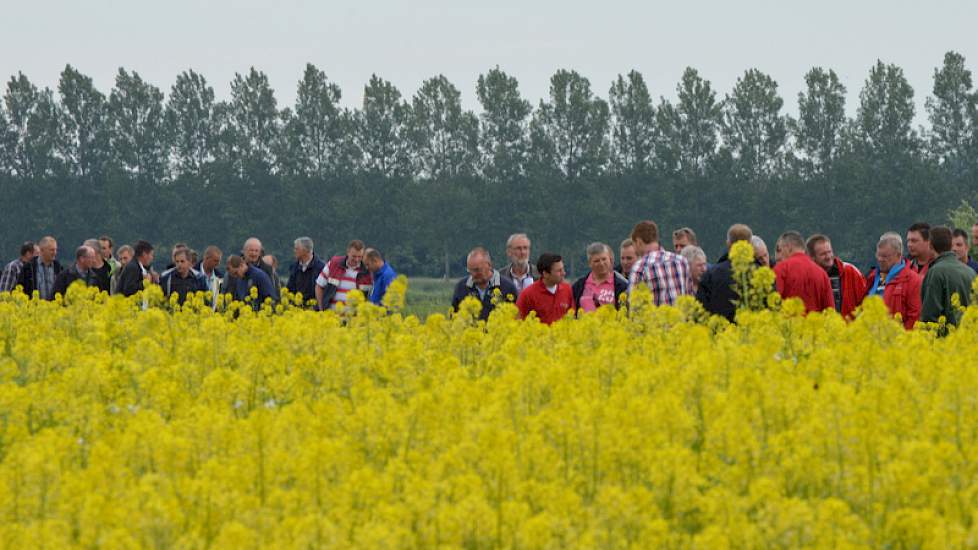 De verschillende groenbemesters, waaronder de TerraLife mengels van Eurograss staan mooi in de bloei. Groenbemesters telen was een aandachtspunt op deze open dag. In de praktijk valt het de laatste jaren niet mee om een goede groenbemester te telen.