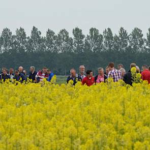 De verschillende groenbemesters, waaronder de TerraLife mengels van Eurograss staan mooi in de bloei. Groenbemesters telen was een aandachtspunt op deze open dag. In de praktijk valt het de laatste jaren niet mee om een goede groenbemester te telen.