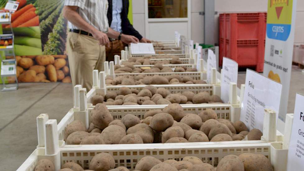 In de bedrijfshal lagen in de stand van Certis meerdere partijen consumptieaardappelen die op verschillende manieren behandeld zijn, met verschillende kiemremmingsmiddelen. Het verschil in knolvitaliteit was duidelijk te voelen en te zien.