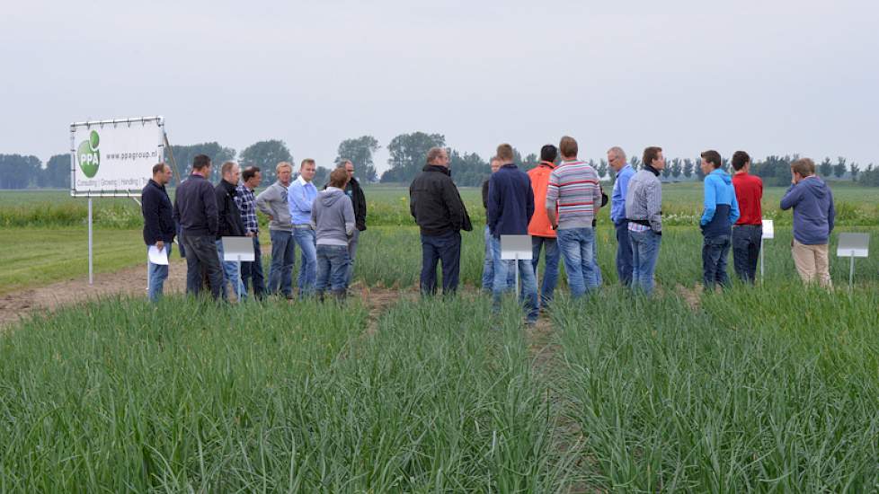 In samenwerking met PPA ligt er een demoveld met 10 verschillende rassen vroege plantuien. De stand van de plantuien is al een heel voorjaar onderwerp van gesprek. Ook hier waren rasverschillen duidelijk zichtbaar.