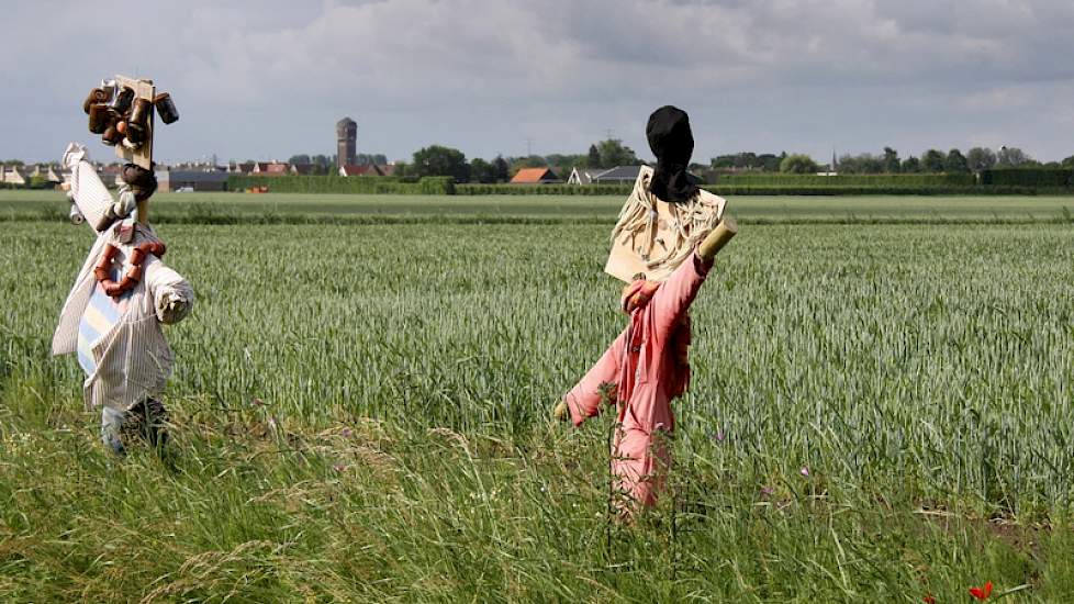 Tegenover de Koningshoeve in de Hoeksche Waard waken bijzondere vogelverschrikkers over de tarwe.