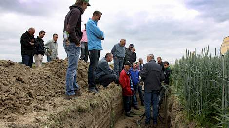 Erik Nagelhoud van Agrifirm laat zien wat er in de bodem gebeurt en hoe tarwe storende lagen doorbreekt.