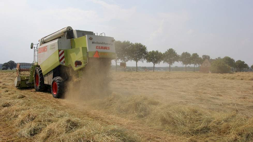 Het tweedejaars graszaad is de laatste dagen flink afgerijpt, vertelt akkerbouwer Harrie Berendsen.
