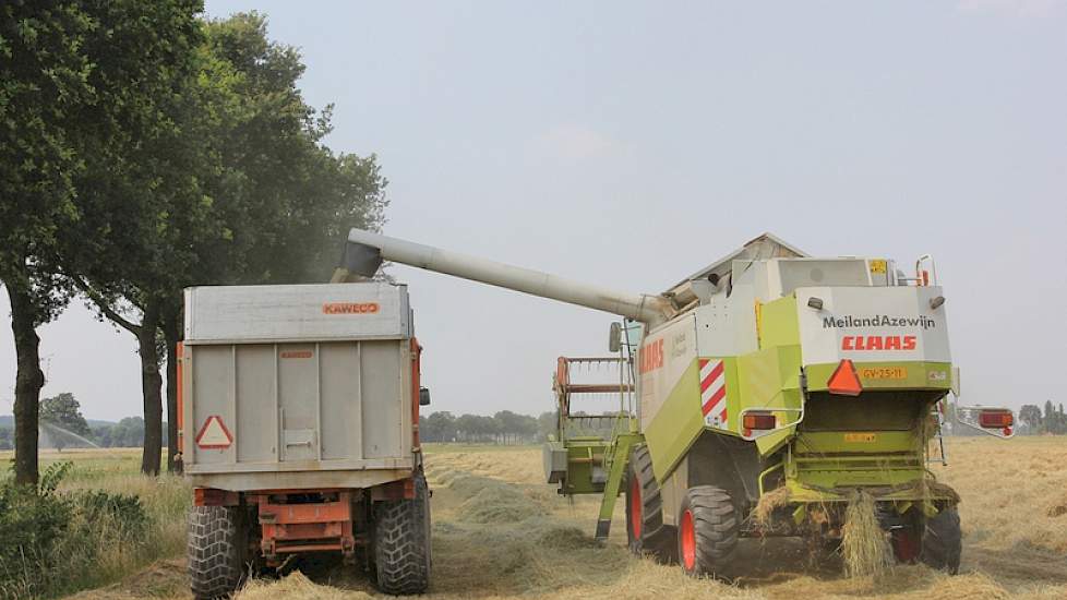 Berendsen heeft het afgelopen jaar een goede prijs voor graszaad gehad.