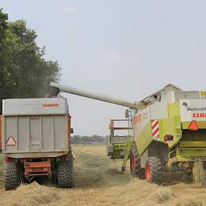 Berendsen heeft het afgelopen jaar een goede prijs voor graszaad gehad.
