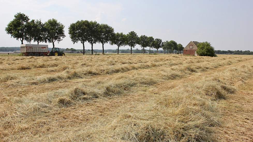 Loonwerker Westerveld heeft maandagochtend een deel van het 9,5 ha grote perceel gemaaid.