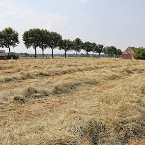 Loonwerker Westerveld heeft maandagochtend een deel van het 9,5 ha grote perceel gemaaid.