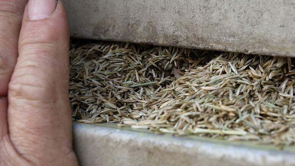 Het graszaad gaat naar Euro Grass in Ven-Zelderheide. Daar gaat het voor de droogwand en wordt het verder bewerkt.