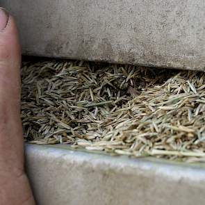 Het graszaad gaat naar Euro Grass in Ven-Zelderheide. Daar gaat het voor de droogwand en wordt het verder bewerkt.