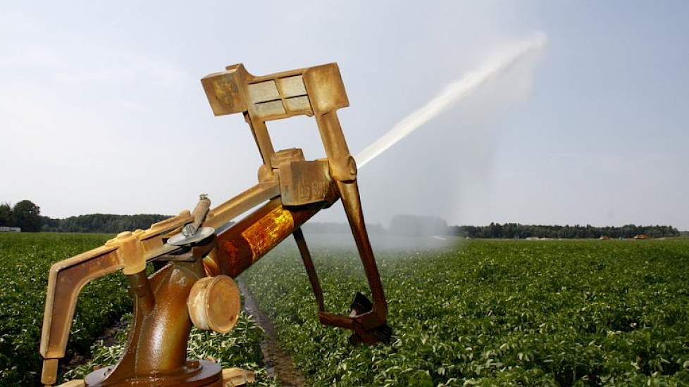 Als de aardappelen nu niet genoeg vocht krijgen, stoppen ze met groeien en komen ze niet meer op gang.