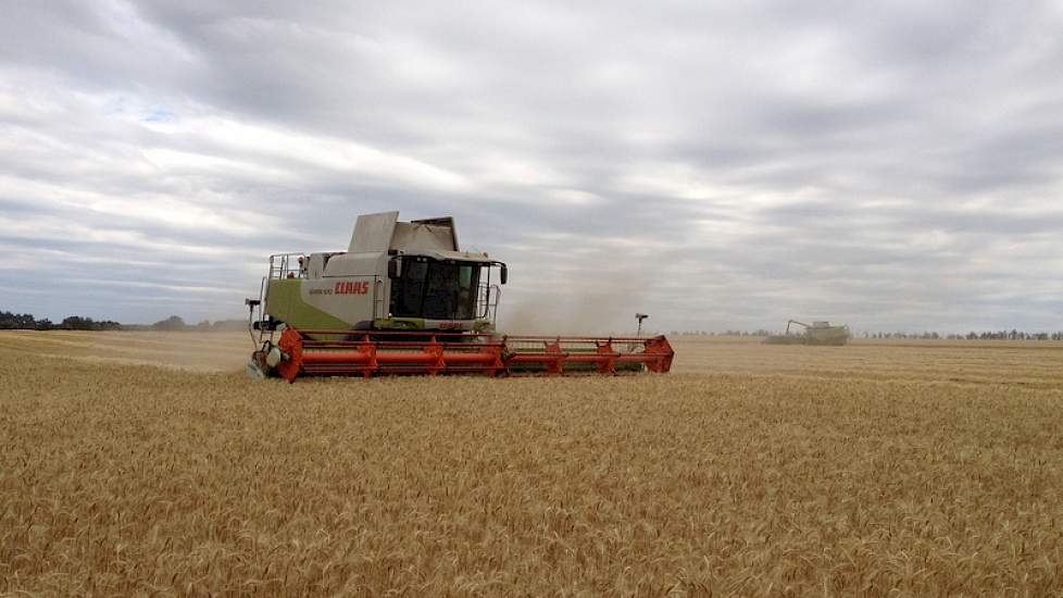 De oogst in de provincies Tambov en Voronezh (circa 500 km onder Moskou) wordt binnengehaald met een Claas Lexion 570 met 10,5 meter maaibord. De oogstwerkzaamheden zijn inmiddels een maand gaande, maar verlop momenteel wat wisselvallig. De helft van de w