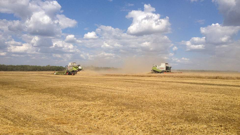 De oogst van wintertarwe is begin juli gestart en loopt door tot begin augustus. Momenteel verloopt de oogst wat wisselvallig: door de goede opbrengsten en buien eind juni ligt een aanzienlijk deel van de tarwe plat. Het oogsten verloopt daardoor langzame
