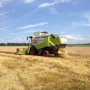 Loonbedrijf De Vries uit Beilen is los, er wordt volop gerst gedorst met een Claas Lexion.