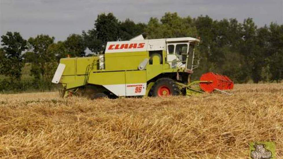 Trekkerweb heeft een foto van de tarweoogst in Zuid-Limburg. Het dorsen gebeurt met een Claas Dominator 96.