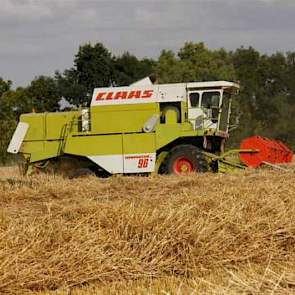 Trekkerweb heeft een foto van de tarweoogst in Zuid-Limburg. Het dorsen gebeurt met een Claas Dominator 96.