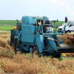 Oogst van erwtenproefvelden bij veredelingsbedrijf Limagrain in Rilland met speciale proefveldcombine. Hier worden zo'n 6.000 lijnen beproefd, waarvan 10 procent als veelbelovend doorgaat naar het volgende jaar.