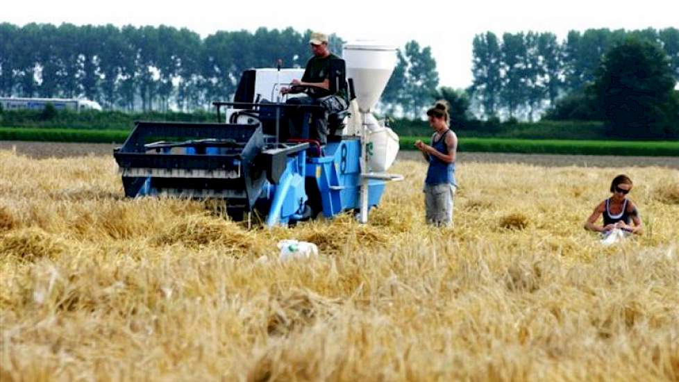 Het gaat om circa 2.500 veldjes à  10 m2 waar onder nummer potentieel nieuwe rassen worden beproefd.