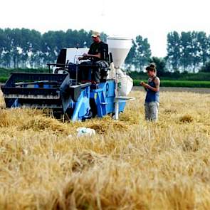 Het gaat om circa 2.500 veldjes à  10 m2 waar onder nummer potentieel nieuwe rassen worden beproefd.
